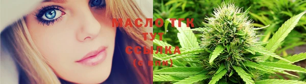 индика Абдулино