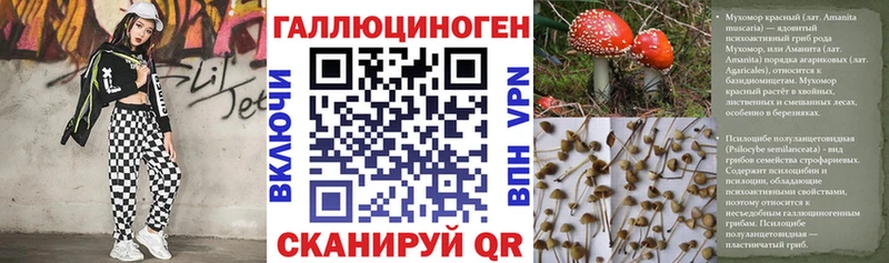 Галлюциногенные грибы Psilocybine cubensis Солигалич
